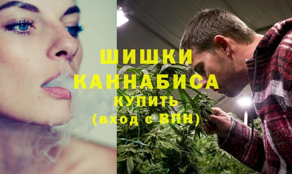 сатива Абаза