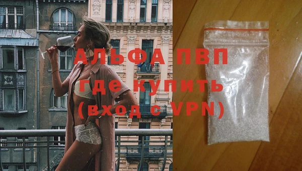 сатива Абаза