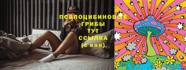 сатива Абаза