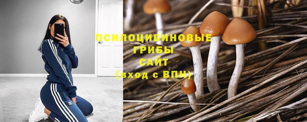 гашик Абинск