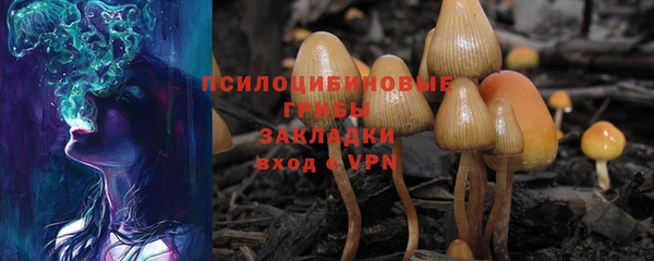 гашик Абинск